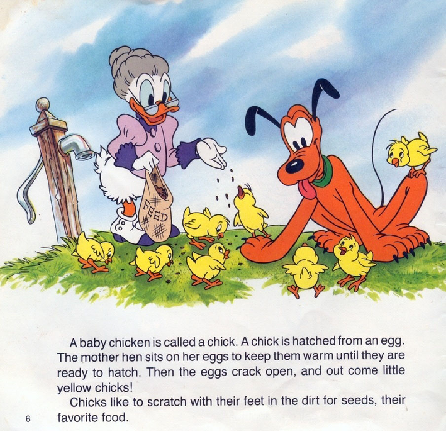 Baby Animals (08),绘本,绘本故事,绘本阅读,故事书,童书,图画书,课外阅读